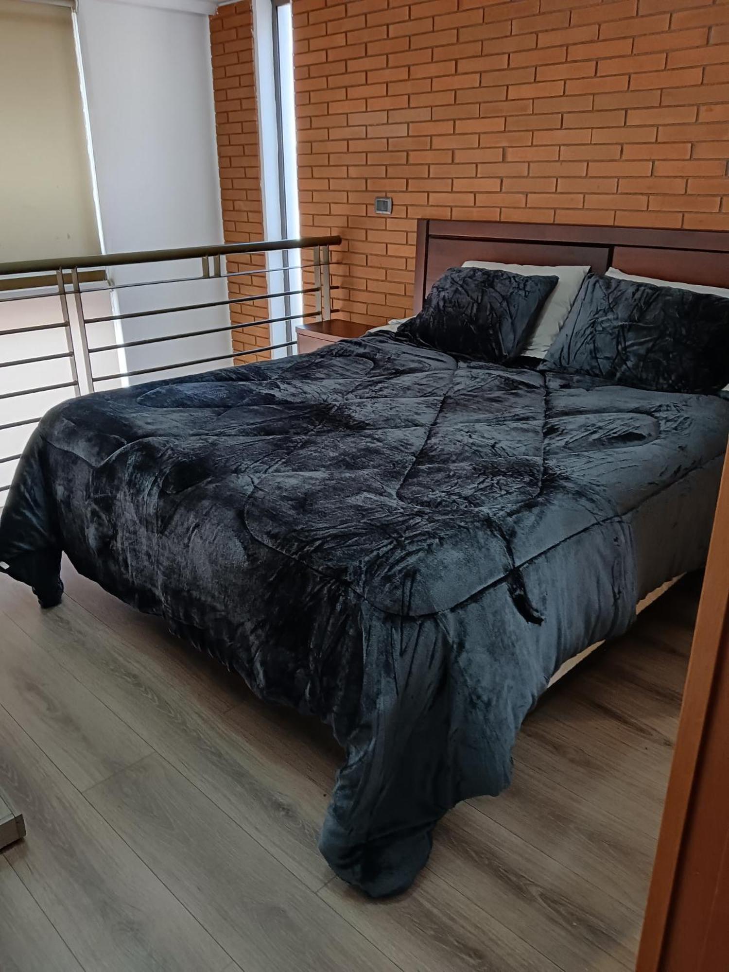 Apartamento Gasset Flores Provi