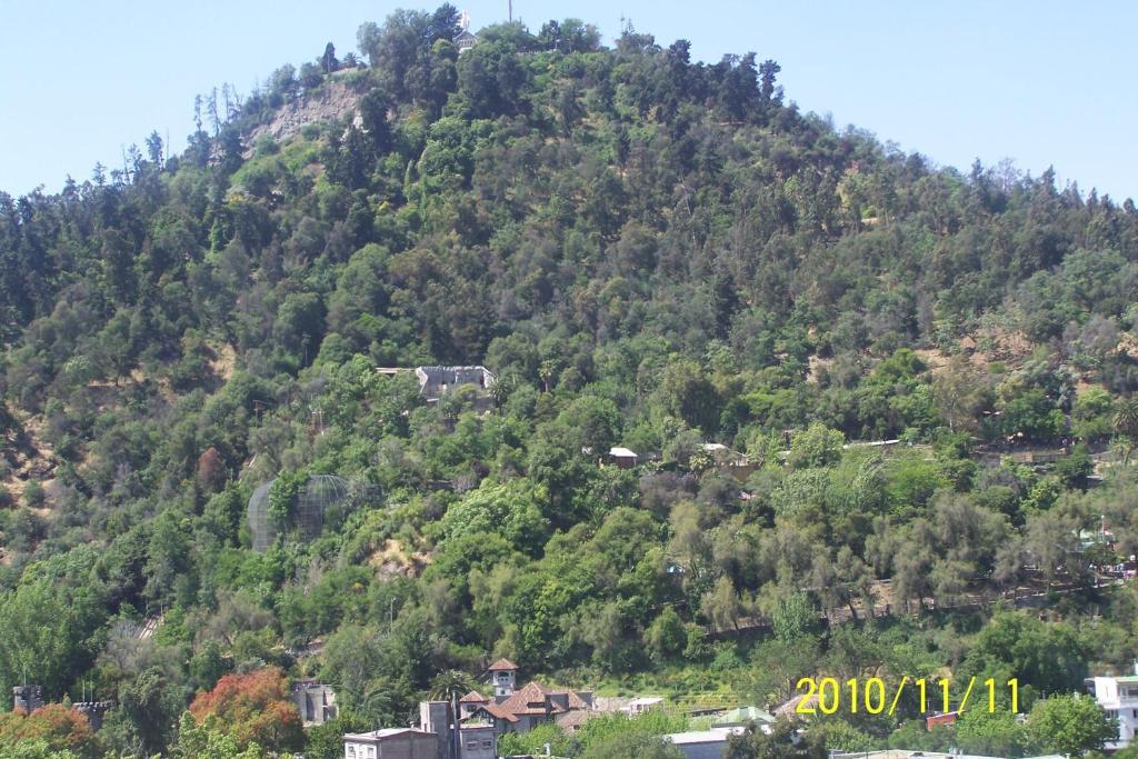 Apartamento Bellavista Forestal