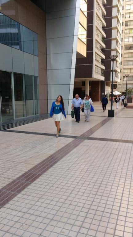New Concept Apartments- Stgo Centro Santiago