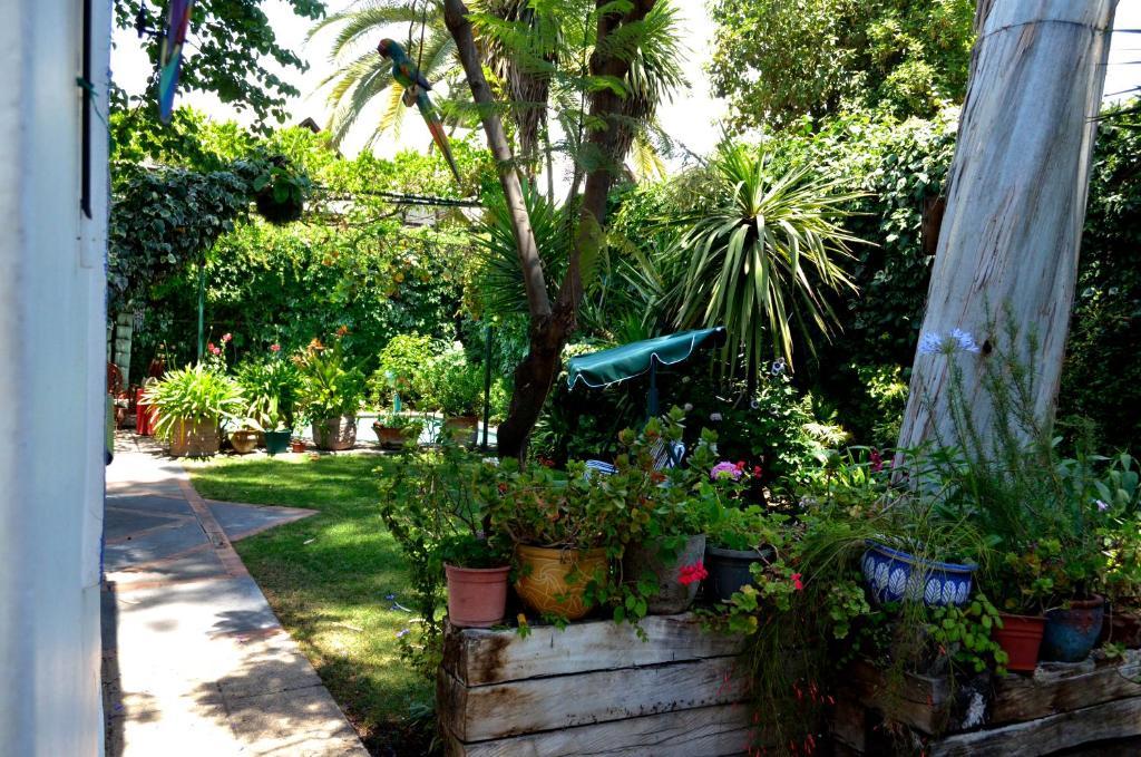 Hostal Casa Muriel *