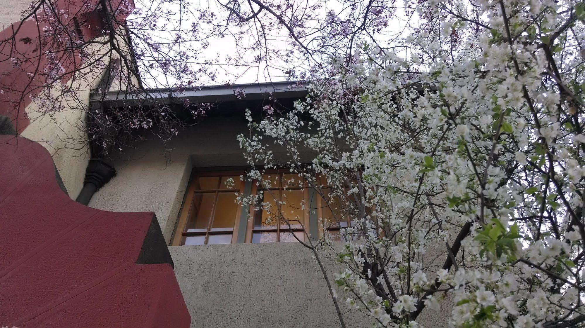 Bed and breakfast Providencia