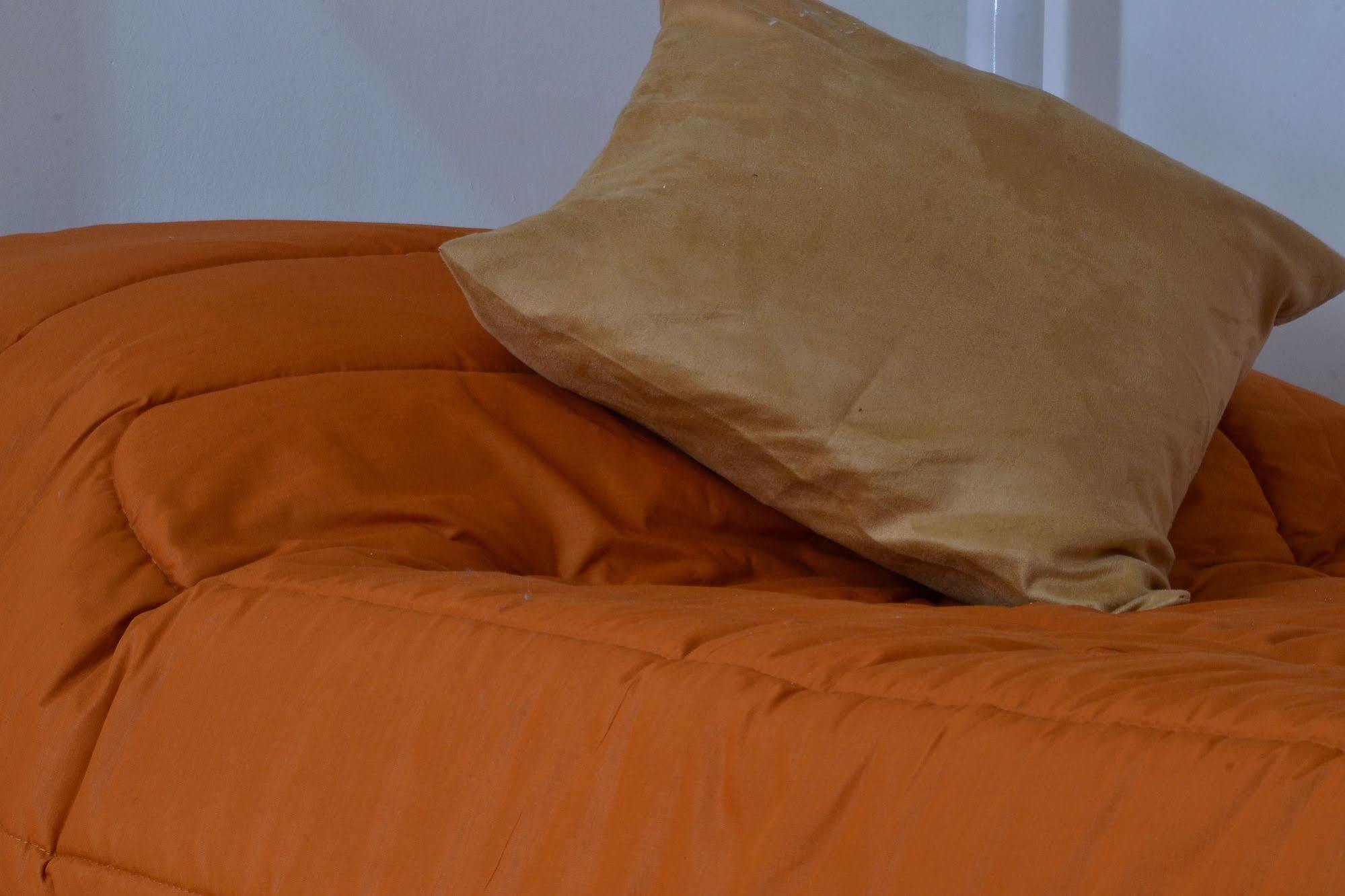 Hostal Casa Roble Boutique