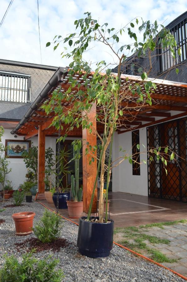 Bed and breakfast Araucanos