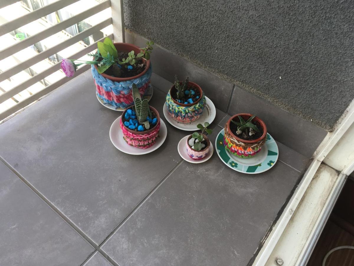 Apartamento Buena Vista Zenteno