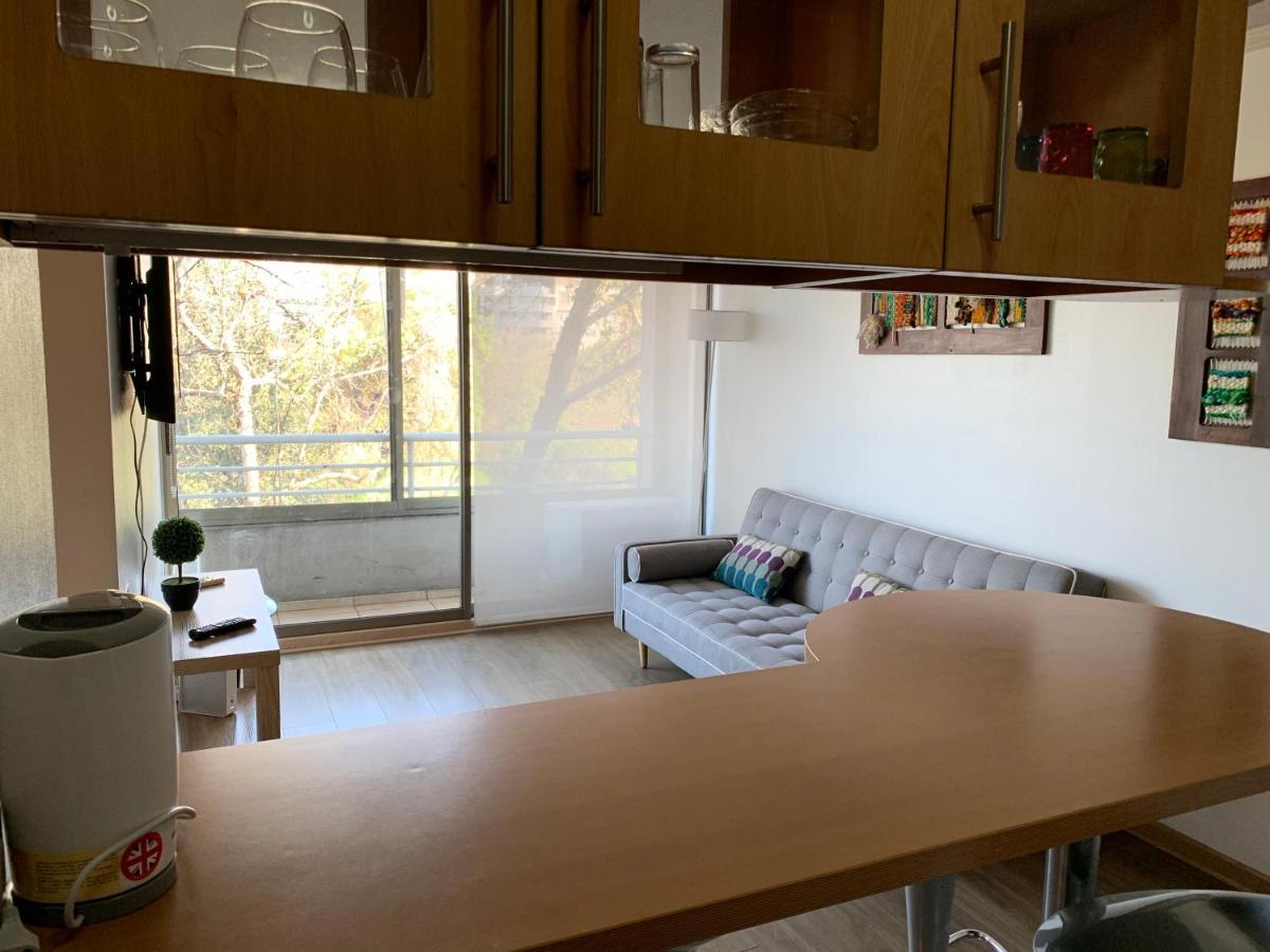 Apartamento Departamento Amoblado Providencia Santiago de Chile