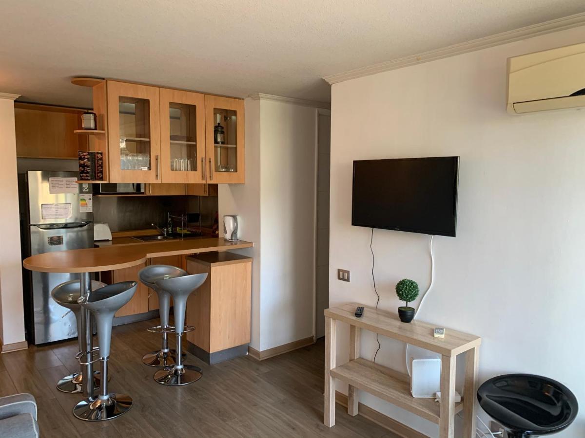 Apartamento Departamento Amoblado Providencia