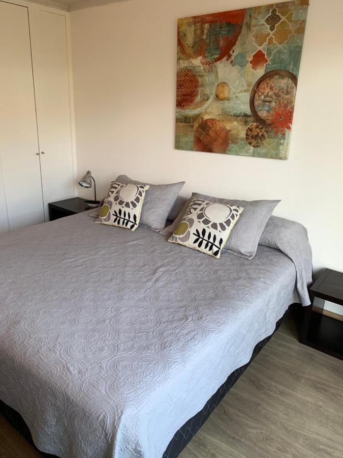 Apartamento Departamento Amoblado Providencia