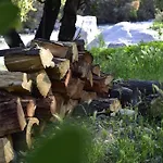 Casa De Piedra Entre Bosque Y Rio