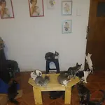 Casa De Alojamiento