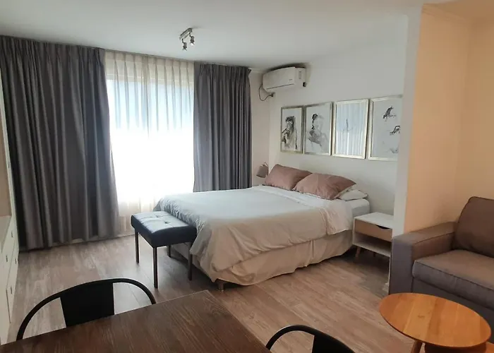 Departamento Centrico En Providencia , A Una Cuadra De Metro Y Muy Cercano A Costanera Center