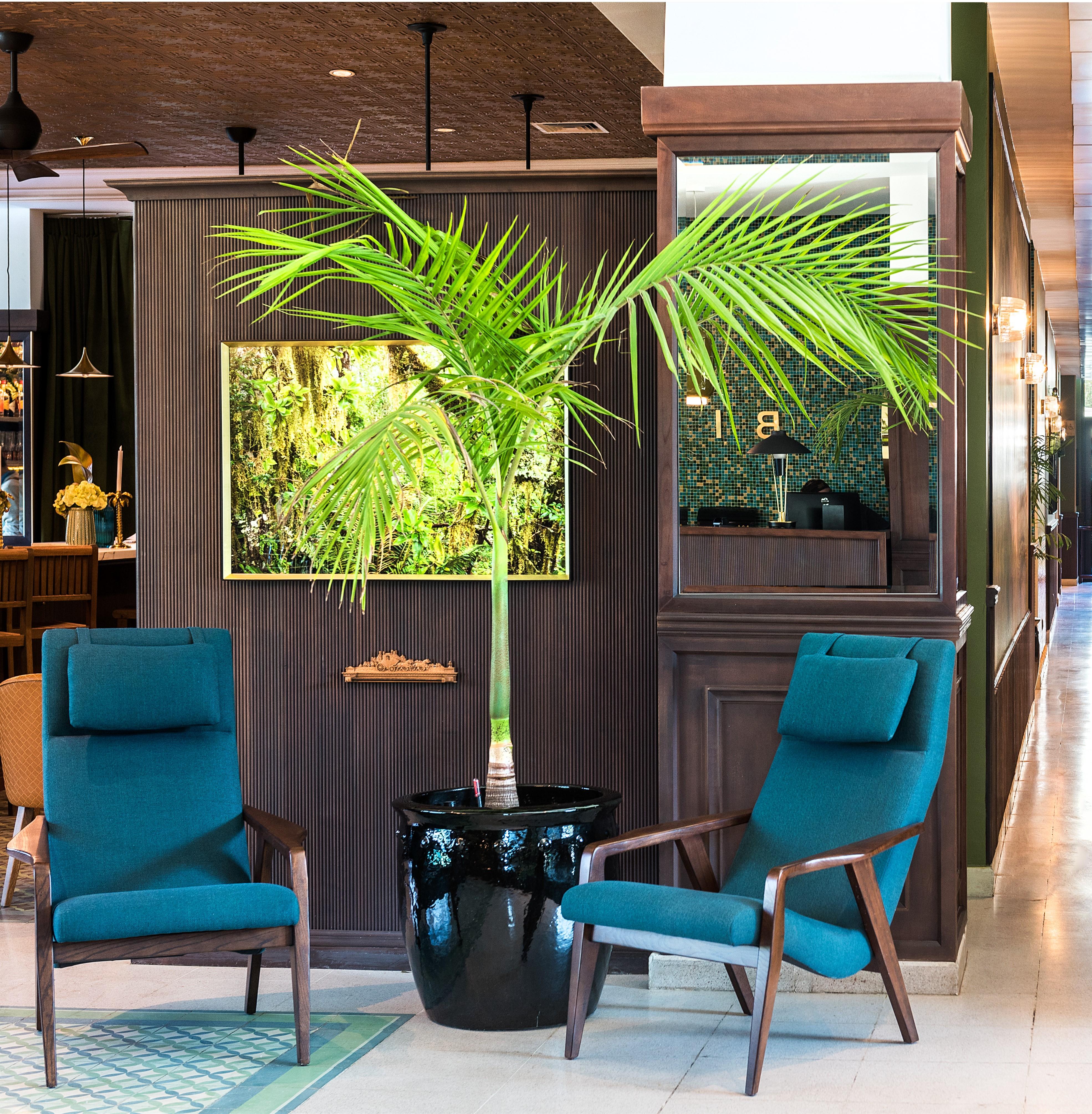 Eco Boutique Bidasoa Santiago