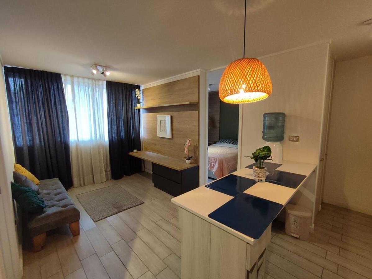 Lindo Acogedor Y Moderno Departamento Amueblado Apartamento Santiago