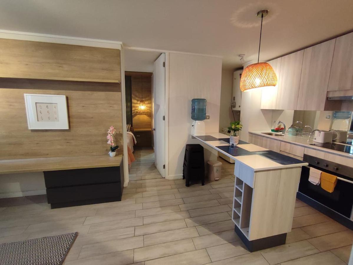 Lindo Acogedor Y Moderno Departamento Amueblado Apartamento