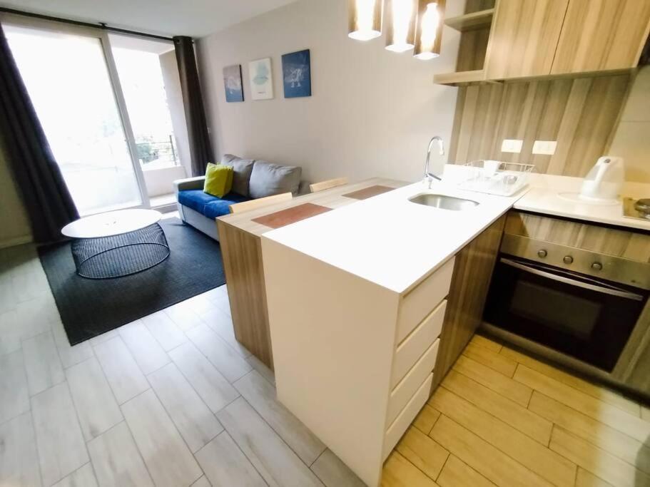 Fabuloso Departamento Cercano A Metro Santa Lucia Santiago