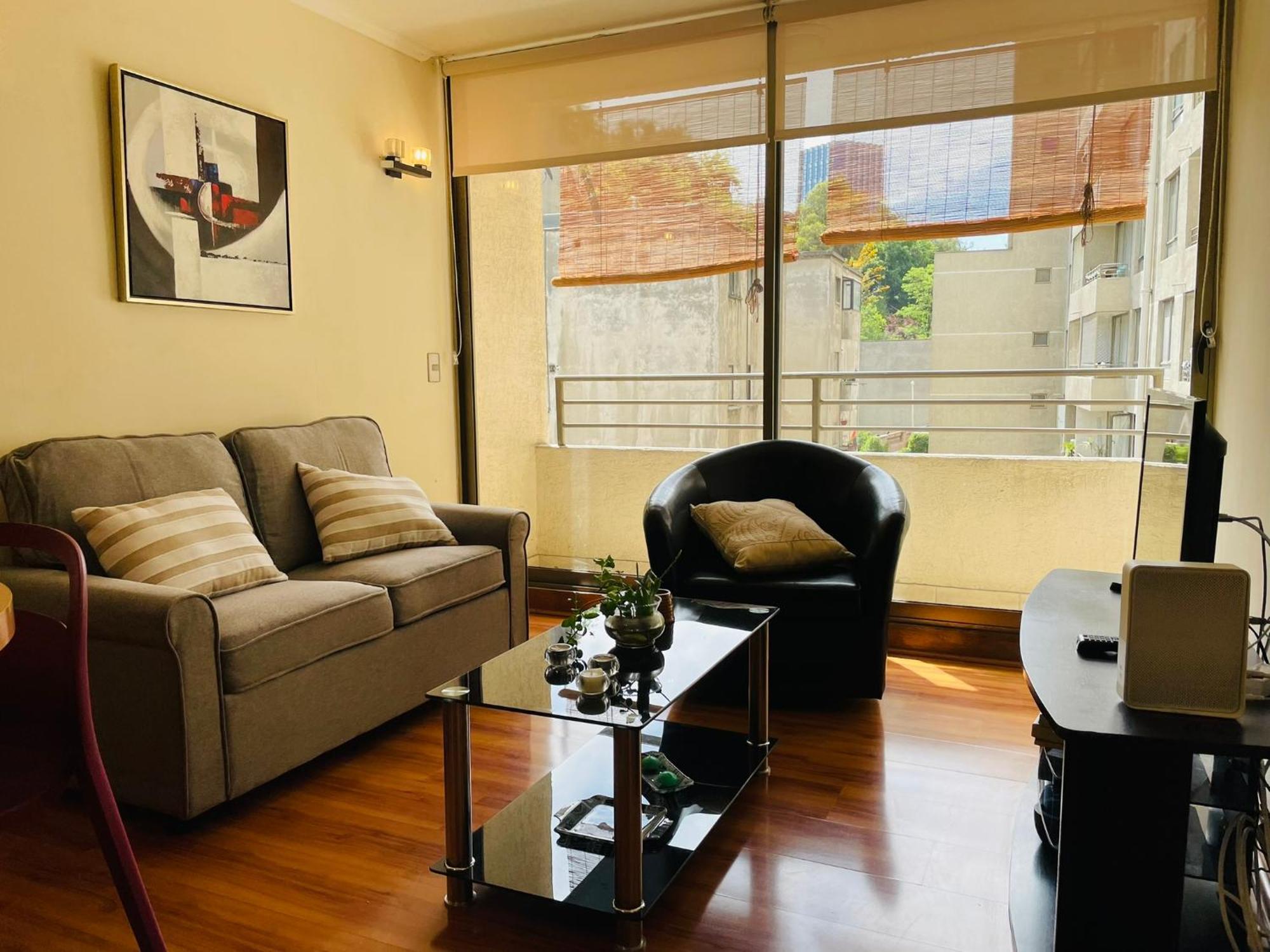 Barrio Lastarria, Excelentes - Alameda Apartamento