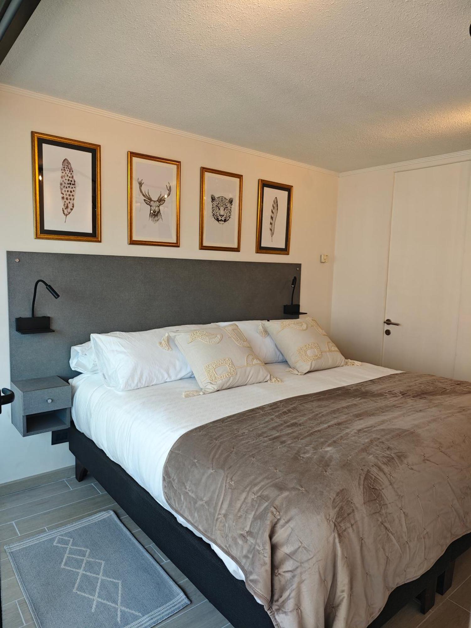 Apartamento Departamento Tipo En Providencia