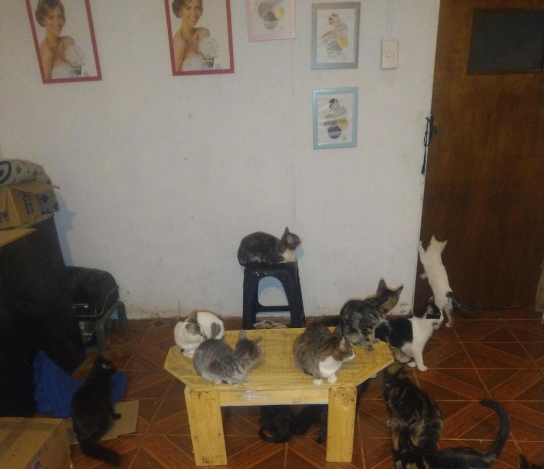 Bed and breakfast Casa De