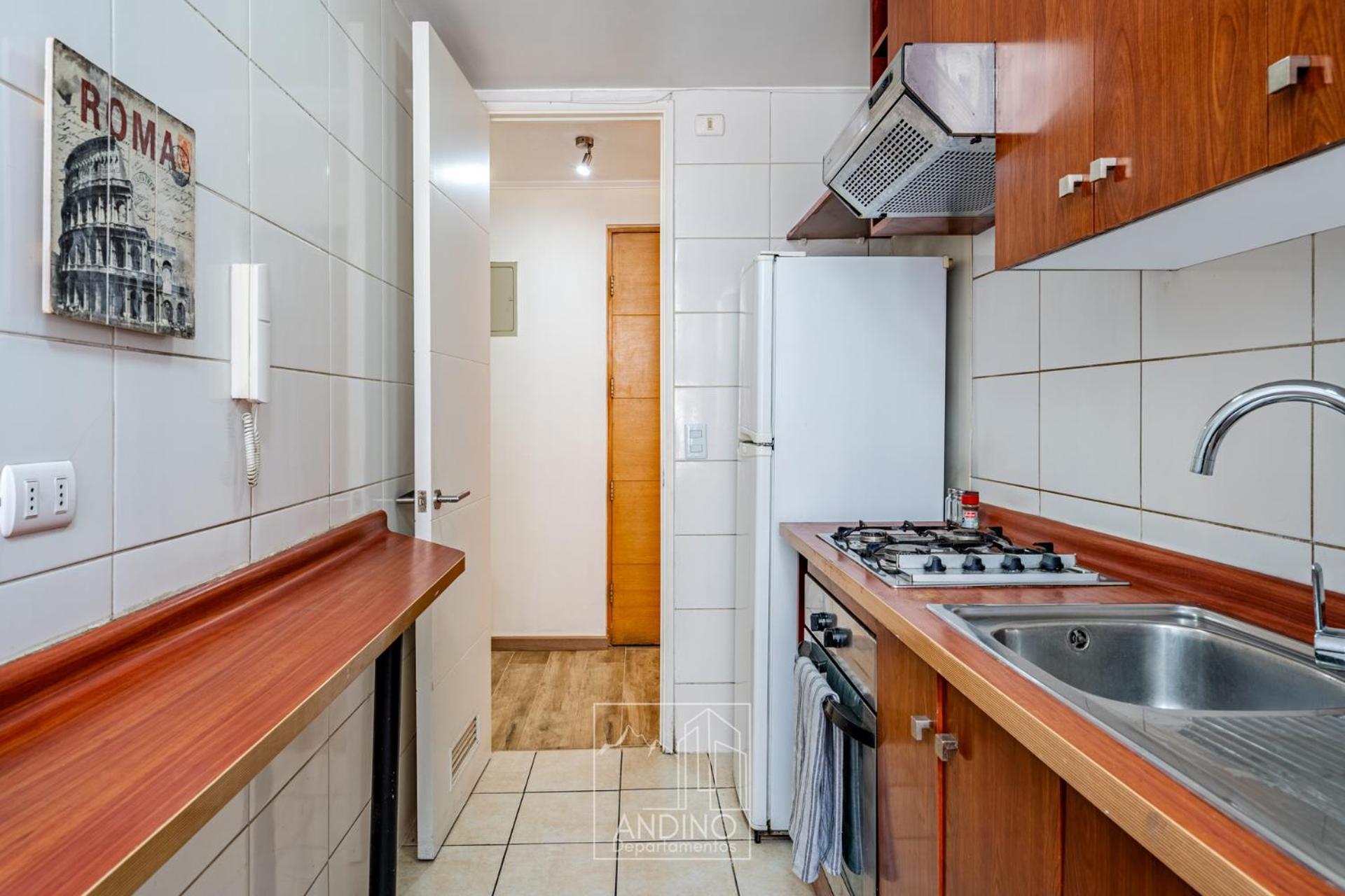 Apartamento Andino Departamentos A Pasos Del Palacio De La Moneda