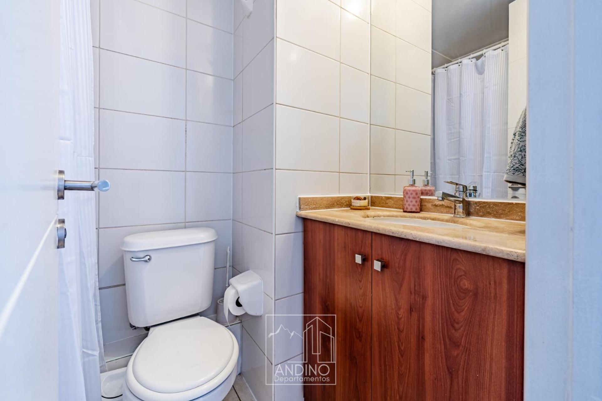 Apartamento Andino Departamentos A Pasos Del Palacio De La Moneda *