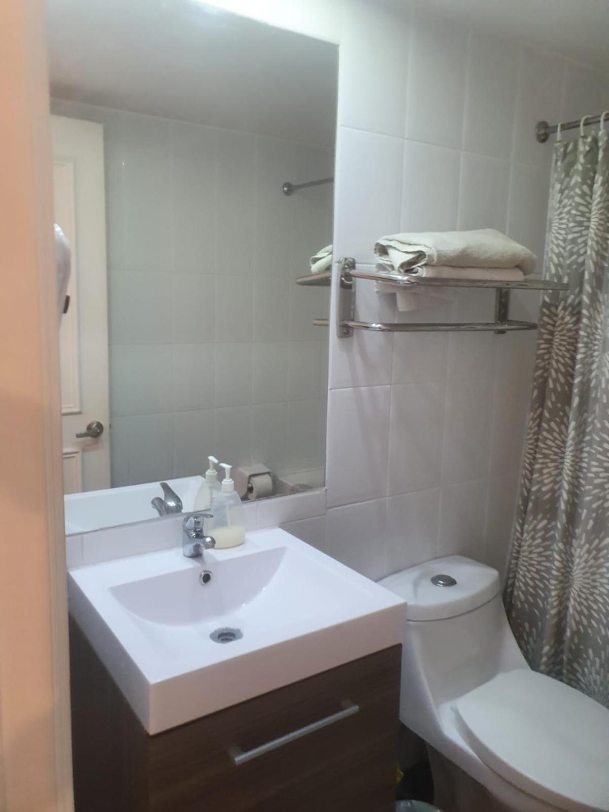 Apartamento Departamento Centrico En Providencia , A Cuadra De Metro Y Muy Cercano A Costanera Center
