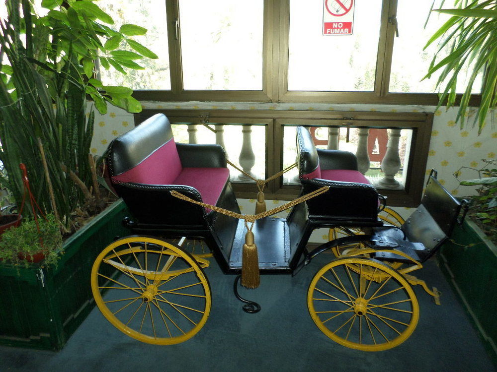 Hotel Foresta
