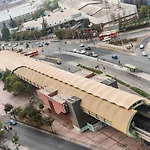 Loica Chile