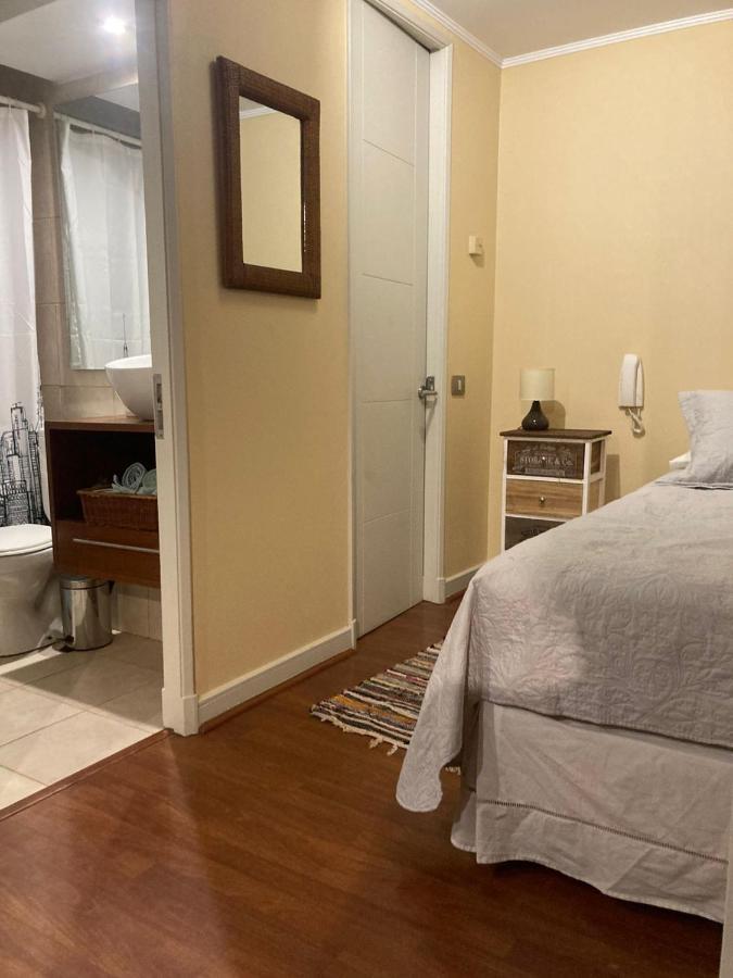 Apartamento Depa Providencia, Barrio Historico, Metro Manuel Montt
