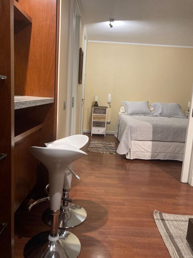 Apartamento Depa Providencia, Barrio Historico, Metro Manuel Montt *