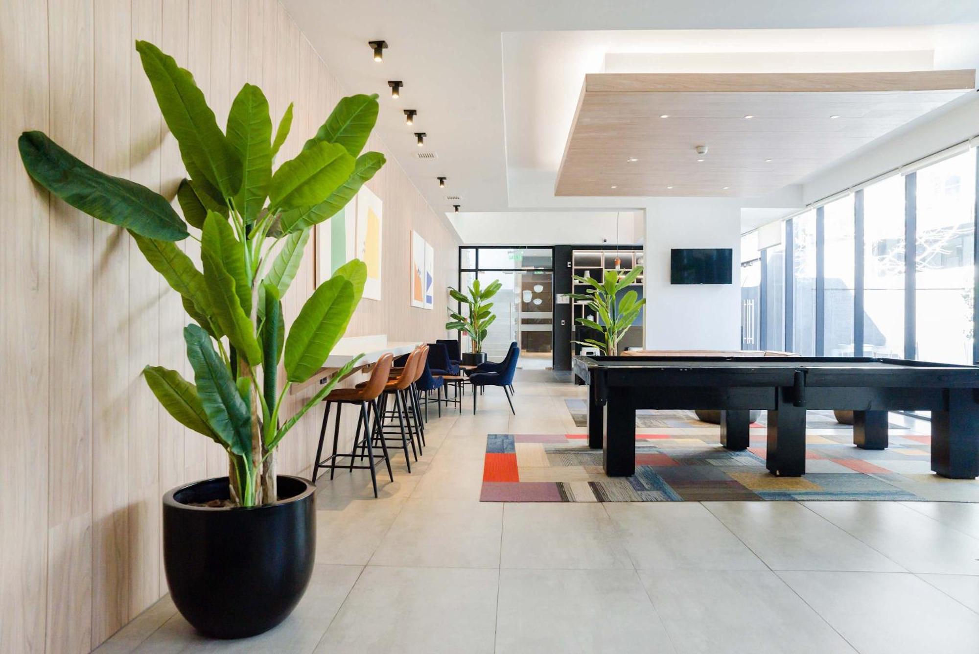 Confortable En Providencia Apartamento *