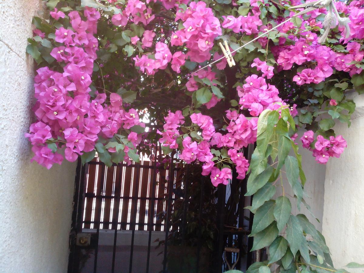 Alojamiento Alberto Magno Bed and breakfast